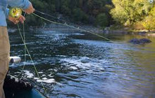 Load image into Gallery viewer, The 50/50 Class - For Experienced Fly Fishers