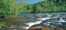 Load image into Gallery viewer, The 50/50 Class - For Experienced Fly Fishers